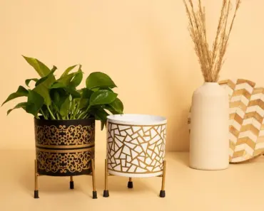 5 Reasons Lidl’s $30 Planter Box Trellis Is Worth It