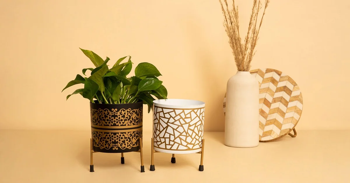 lidl planter box trellis
