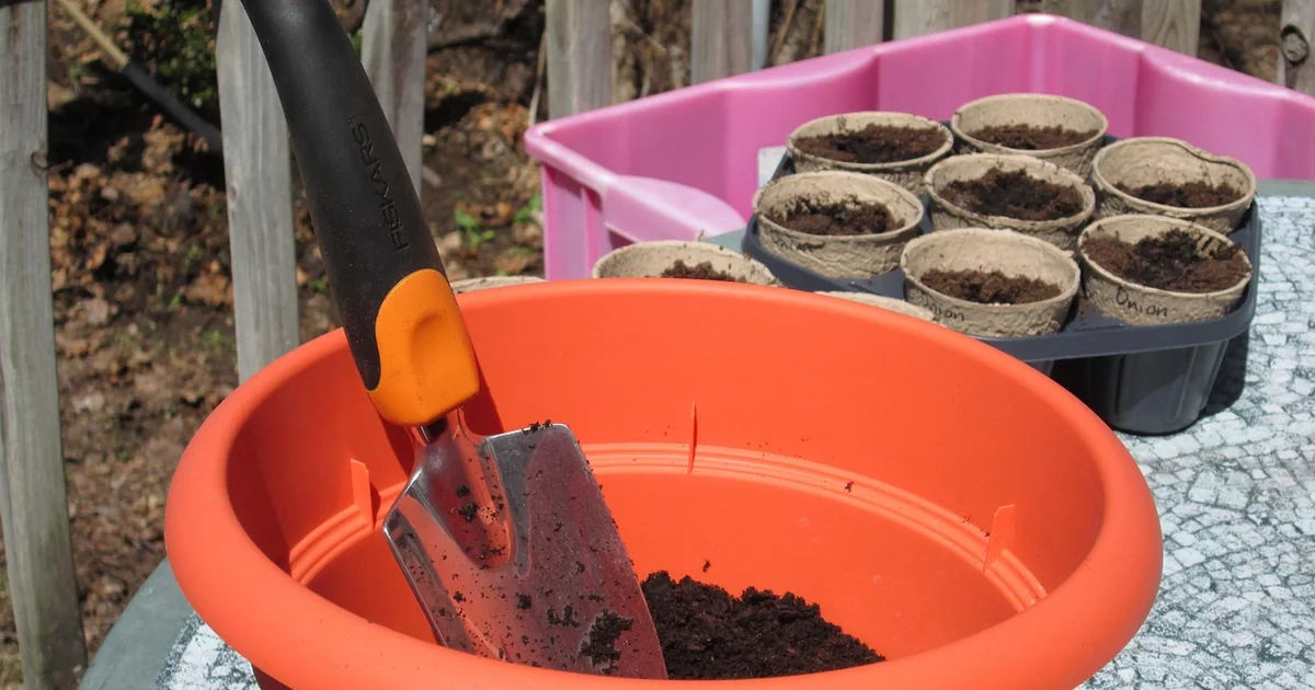 small space container gardening