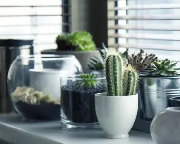 11 Ways to Reinvent Your Garden Using Indoor Decor