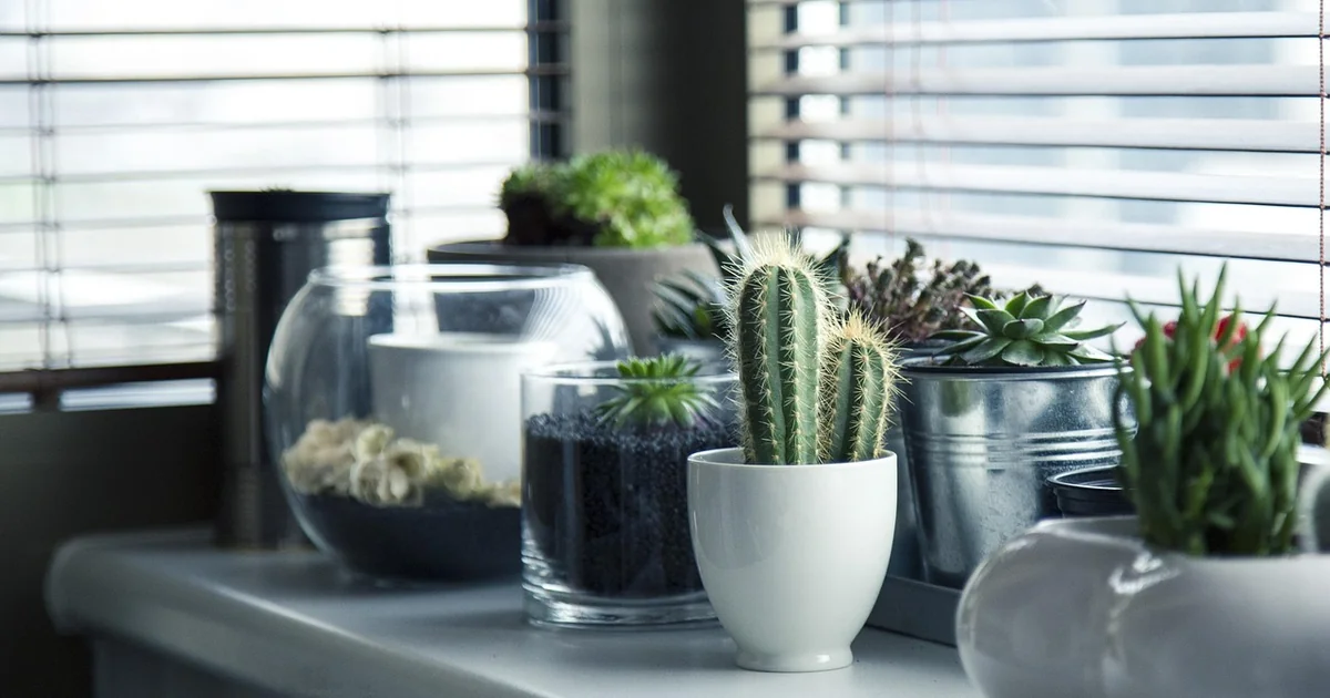 indoor decor garden