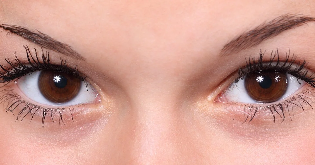 eyeliners for brown eyes