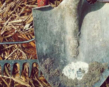 5 Ways a Soil Knife Replaces Multiple Garden Tools 5 Ways a Soil Knife Replaces Multiple Garden Tools