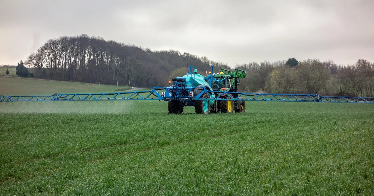best tomato fertilizers