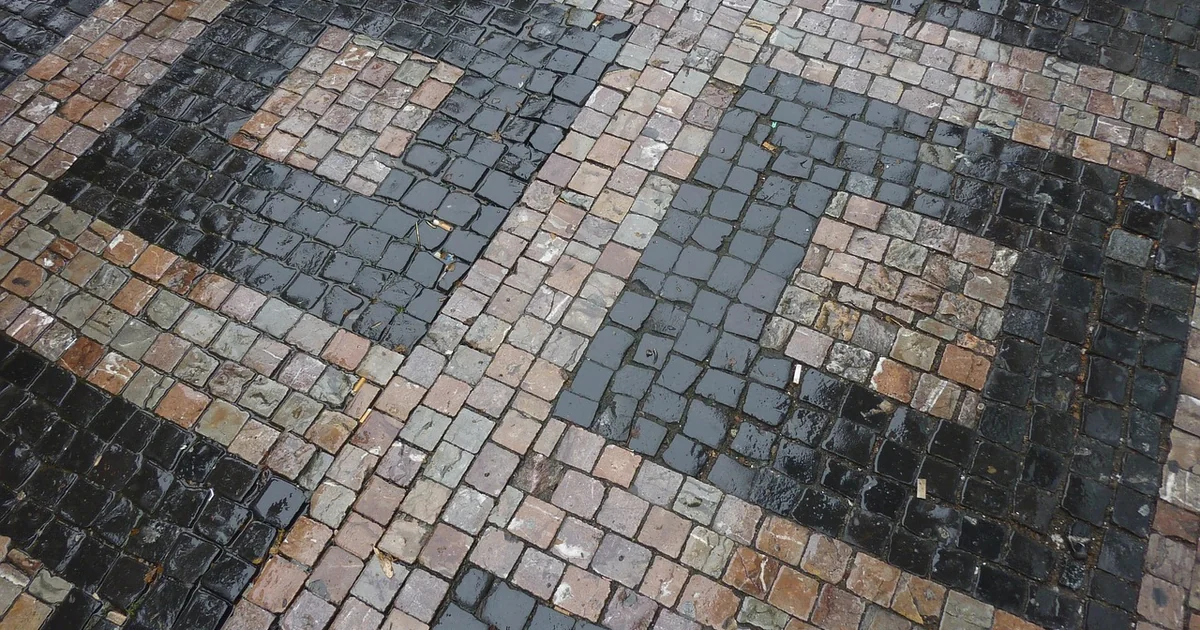 weeds between pavers