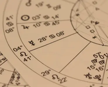 Meet Your Zodiac Houseplant: 5 Things It Secretly Says