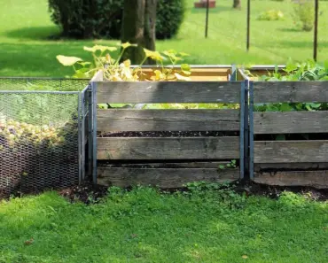 7 Proven Tricks to Make Compost Tea for Healthier Plants 7 Proven Tricks to Make Compost Tea for Healthier Plants