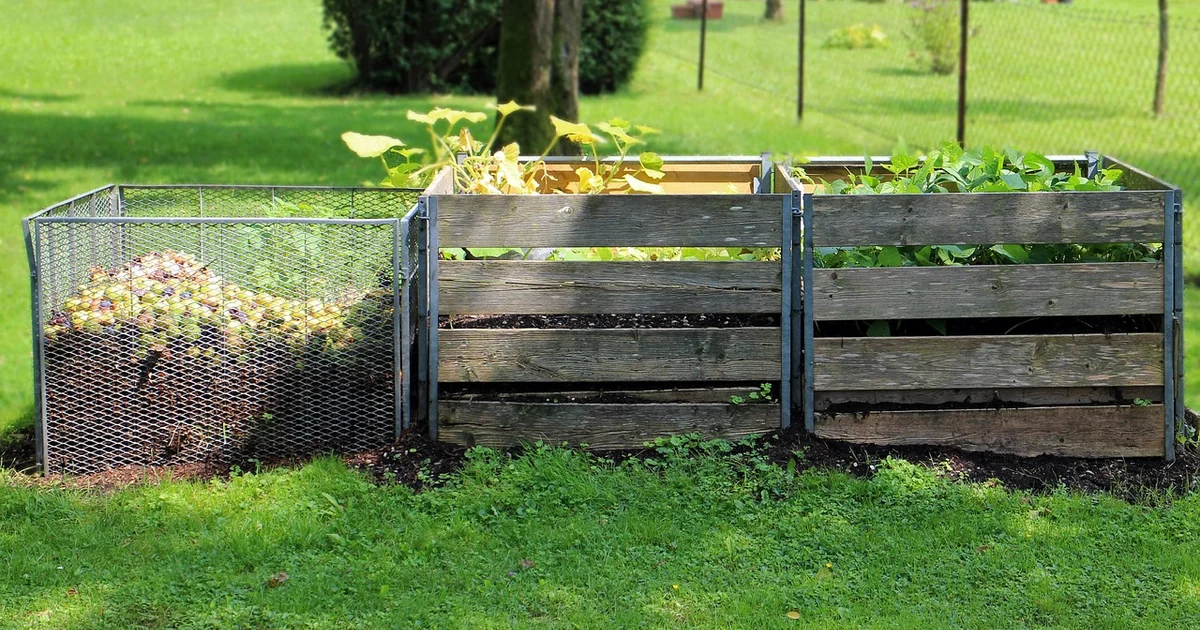 compost tea recipe