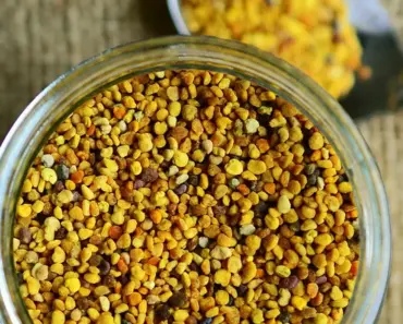 15 DIY Natural Cleaning Products for a Greener Home 15 DIY Natural Cleaning Products for a Greener Home