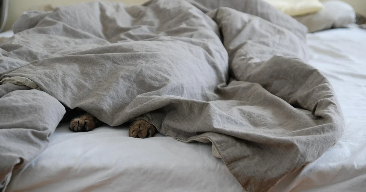 duvet vs comforter