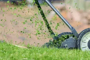 7 Reasons to Use a Reel Mower for Lawn Care Unplugged
