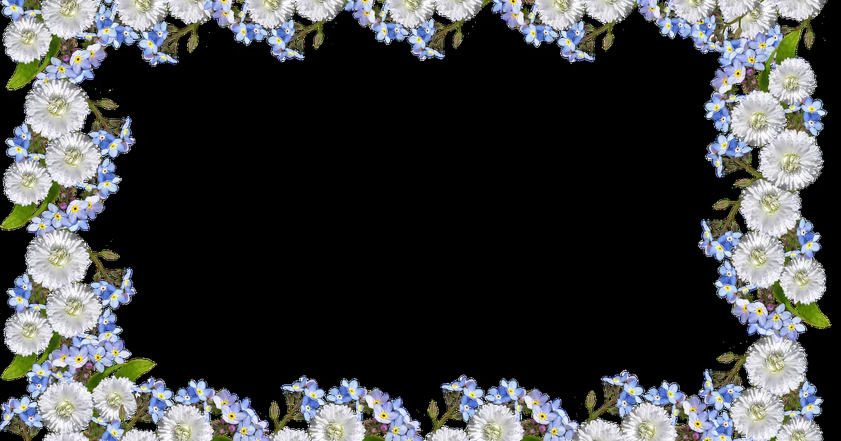 garden border design
