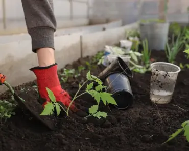 7 Best Potting Soils for Vegetables 7 Best Potting Soils for Vegetables