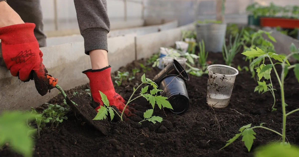 best vegetable potting soil