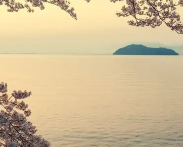 7 Best Spring Basics for Travel