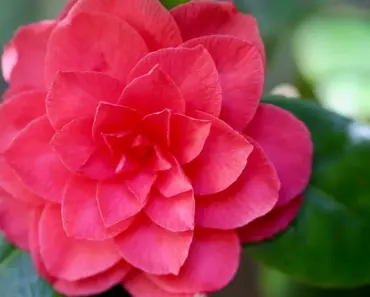 11 Essential Things to Start Doing for Your Own Inner Peace & Growth