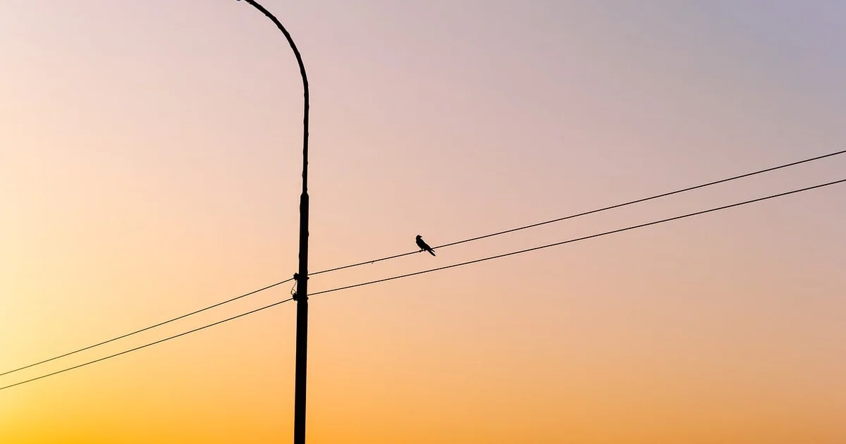 wire single pole light