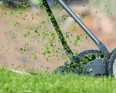 7 Ways to Care for Your Lawn with a Reel Mower