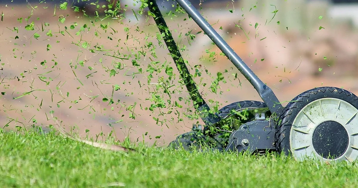 care for reel mower