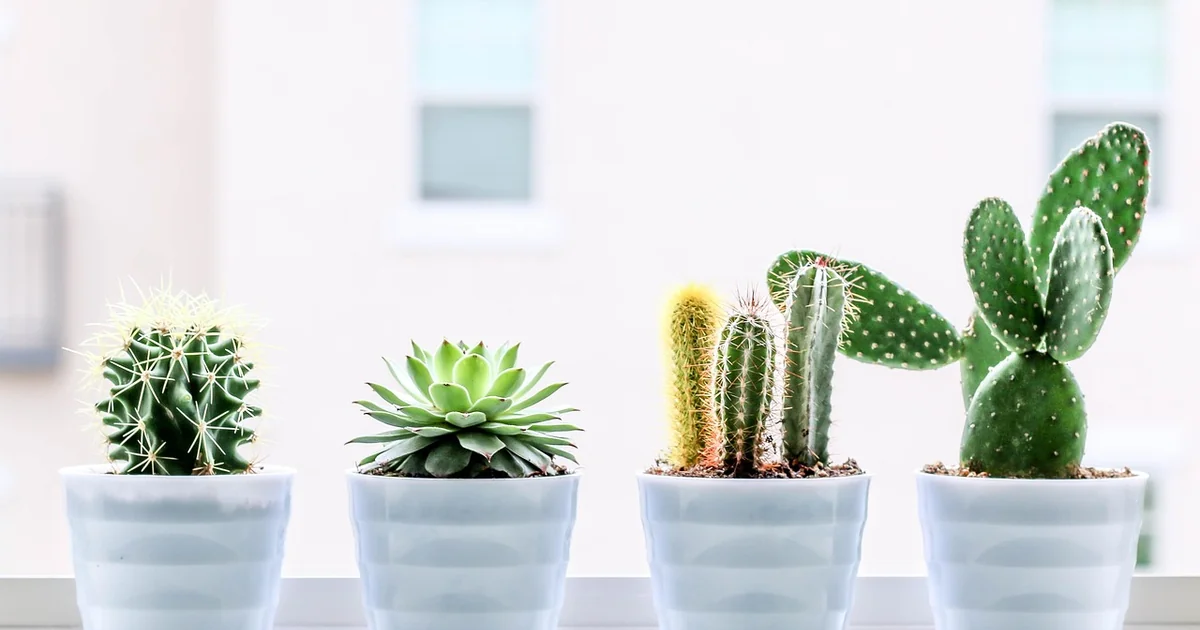 15 Genius Ways to Reinvent Your Garden Using Indoor Decor