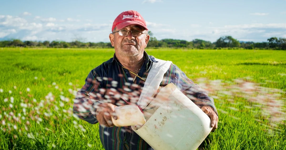 direct sowing may