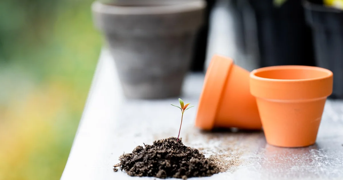 mixing old potting soil