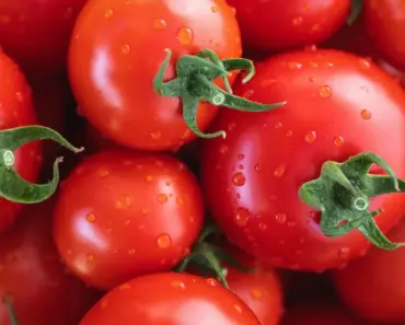 5 Expert Secrets to Grow Perfect Tomatoes