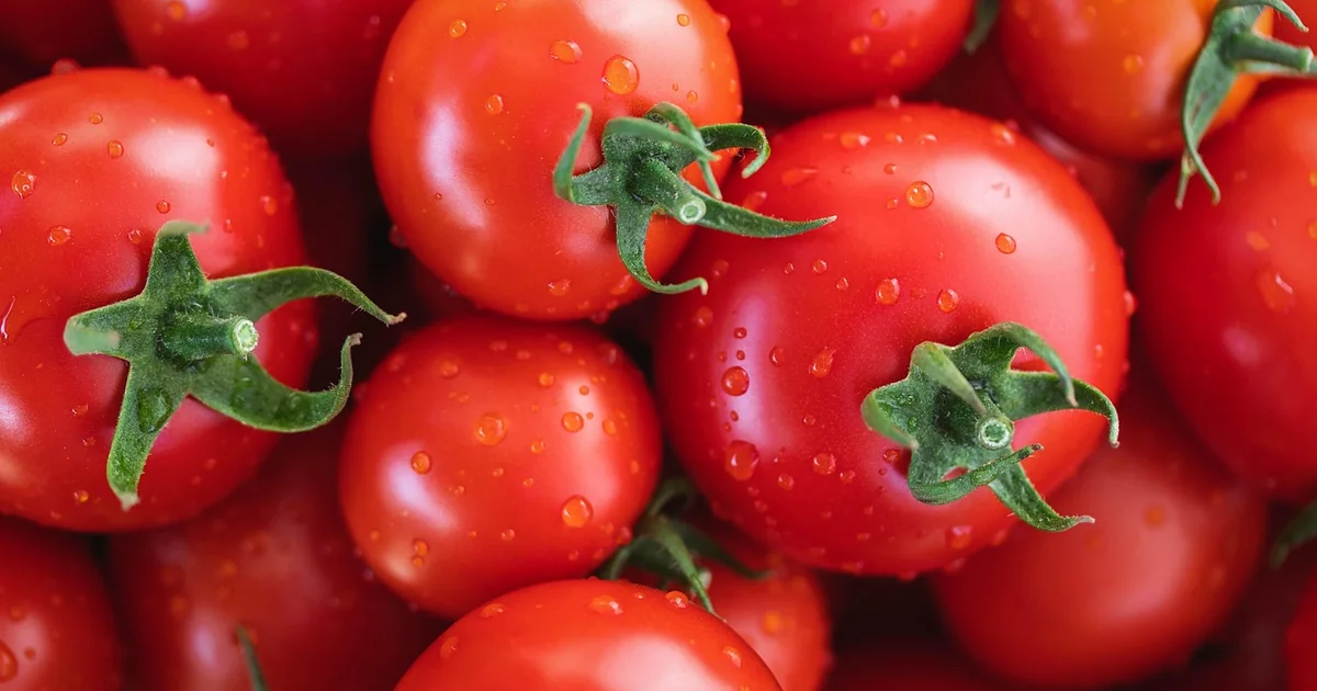 grow perfect tomatoes