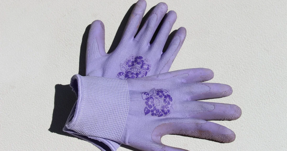 11 Best Gardening Gloves of 2026: Top Picks for Every Task