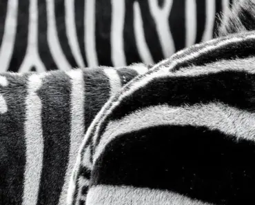 7 Reasons Striped Trousers Are the Next Big Trend