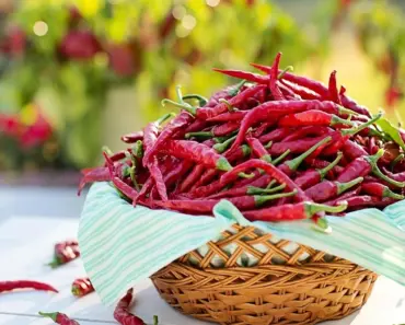 Does Cayenne Pepper Deter Squirrels? Expert Opinions
