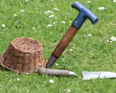 5 Best Garden Trowels Tested by The Spruce 5 Best Garden Trowels Tested by The Spruce
