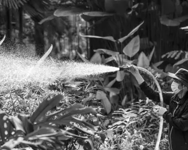 The Spruce’s 9 Best Tested Garden Sprayers