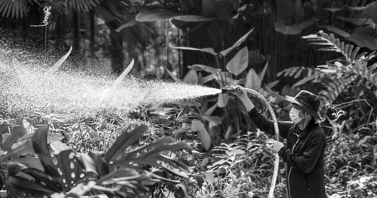 best garden sprayers