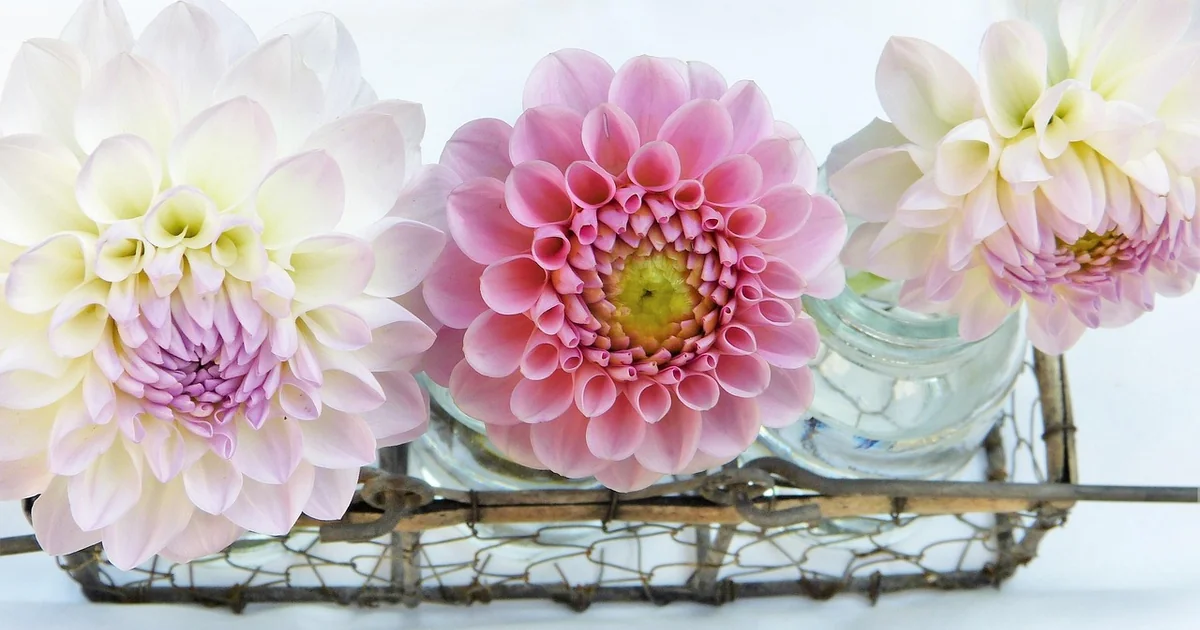 mothers day garden gifts