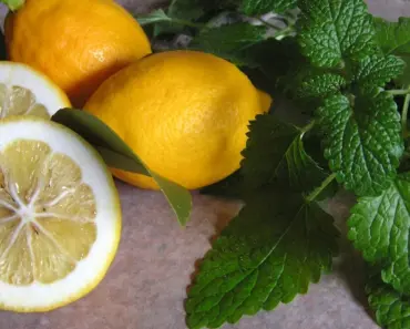 Lovely Lemon Balm Soap: 5 Cold Process Secrets