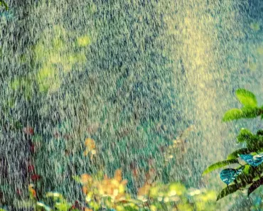 ImoLaza Smart Sprinkler Controller Review: 7 Key Pros ImoLaza Smart Sprinkler Controller Review: 7 Key Pros