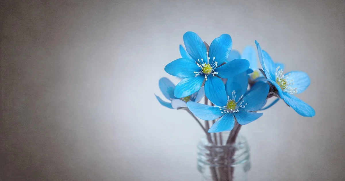 invasive blue spring flowers