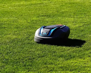 9 Best Electric Lawn Mowers: Tested & Reviewed