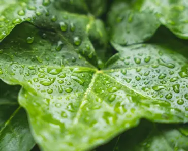 7 Best Rain Gauges Tested by The Spruce