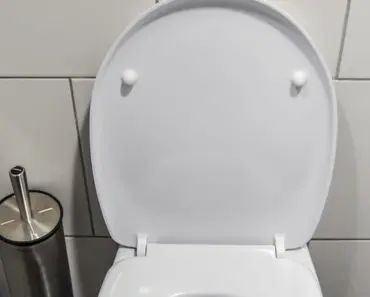7 Best Pressure-Assisted Toilets for Powerful Flushes