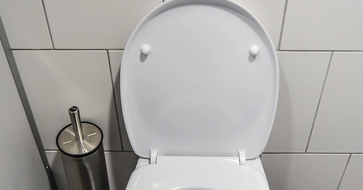 best pressure-assisted toilets