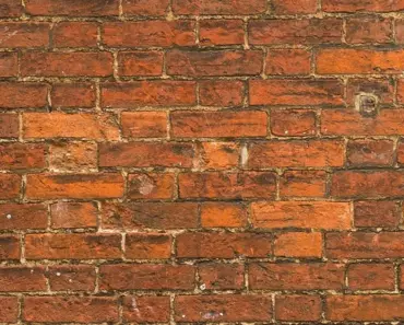 7 Best Grout Cleaners The Spruce Tested
