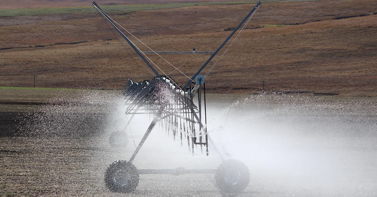 drip irrigation installation