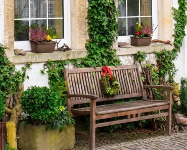 5 Front Yard Plants That Say More About You Than You Think