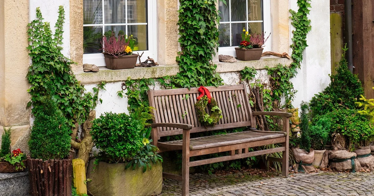 front yard plant meanings