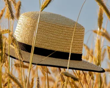 7 Summer Microtrends to Add to Your Styling Moodboard