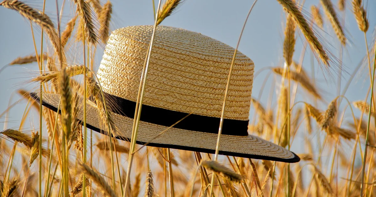 summer microtrends