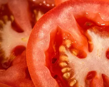 Ways to Save Overwatered Tomato Plants