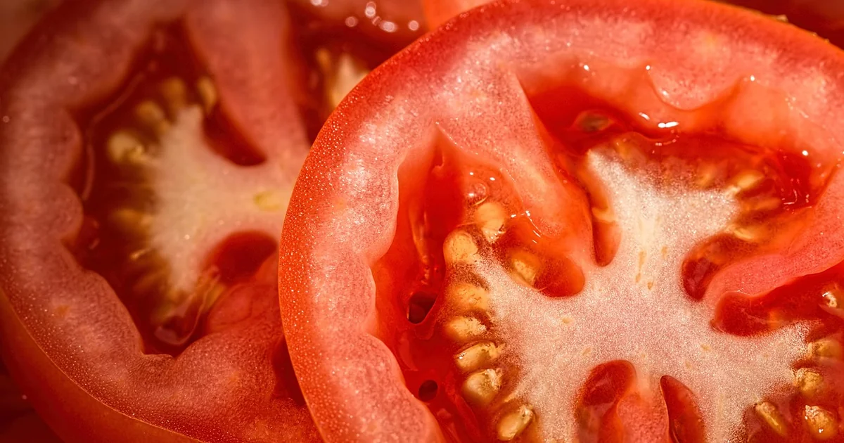 save overwatered tomatoes